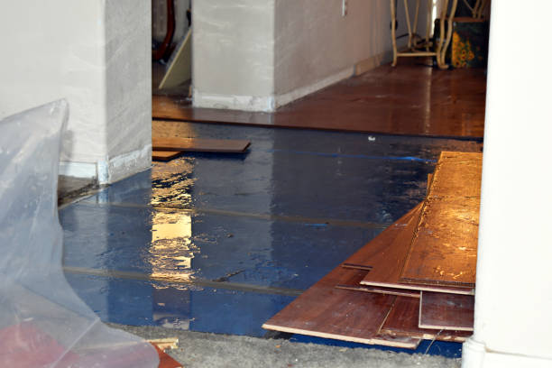 Professional Basement Flooding technician working in Spokane, WA